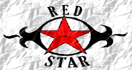 Red Star New York Logo
