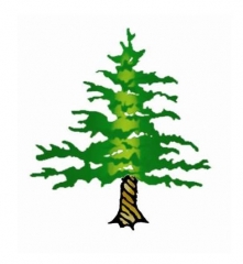 Twisted Pine - Tree