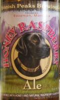Honey Raspberry Ale
